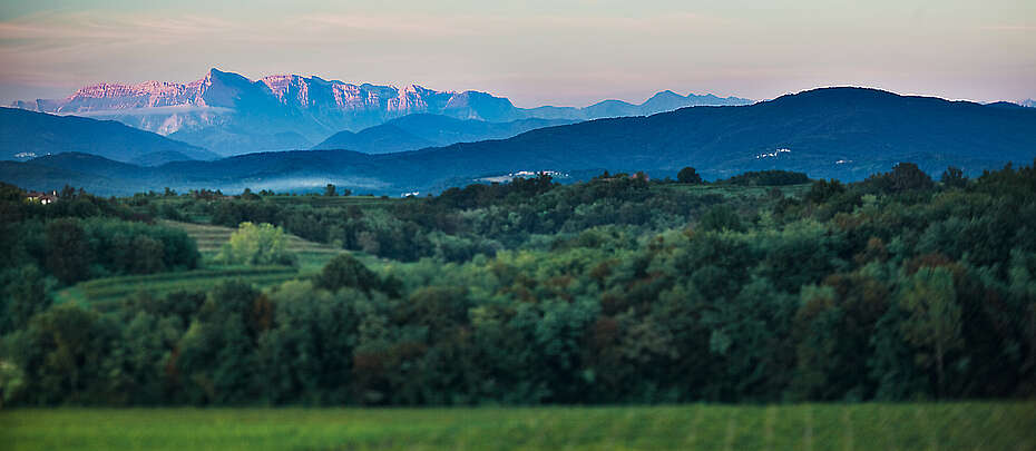 Abendlandschaft mit Tiefenschärfe im Weinanbaugebiet Colli Orientali del Friuli in der Nähe von Udine in Norditalien, Blick auf die Voralpen