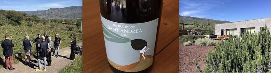 Pietradolce erzeugt nicht nur leckere Rotweine aus der Rebsorte Nerello, sondern den herausragenden Weisswein im Bild aus Carricante