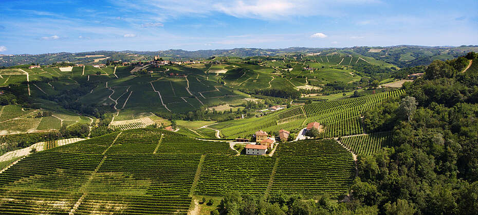 Luftaufnahme der Weinberge der Gegend Serralunga im Barolo-Gebiet der Kellerei Vite Colte in der Langhe im Piemont