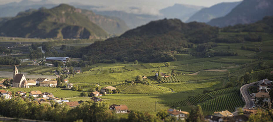 Italien-Wein-Suedtirol-Panorama der Weinberge des Unterlands, von Anton Longo und 