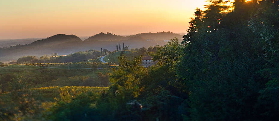 Sonnenuntergang im Weinanbaugebiet Colli Orientali del Friuli in der Nähe von Udine in Norditalien