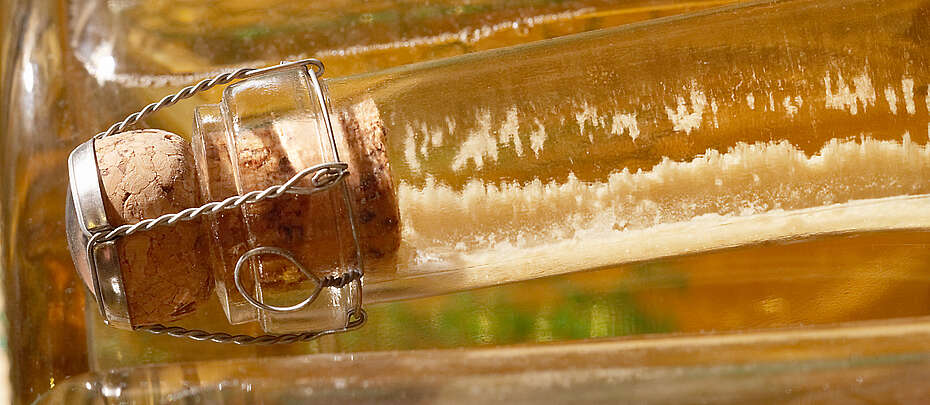Hefepfropfen in einer durchsichtigen Sekt-Flasche mit Korkverschluss in der Franciacorta vor dem Degorgieren aufgenommen im Gegenlicht