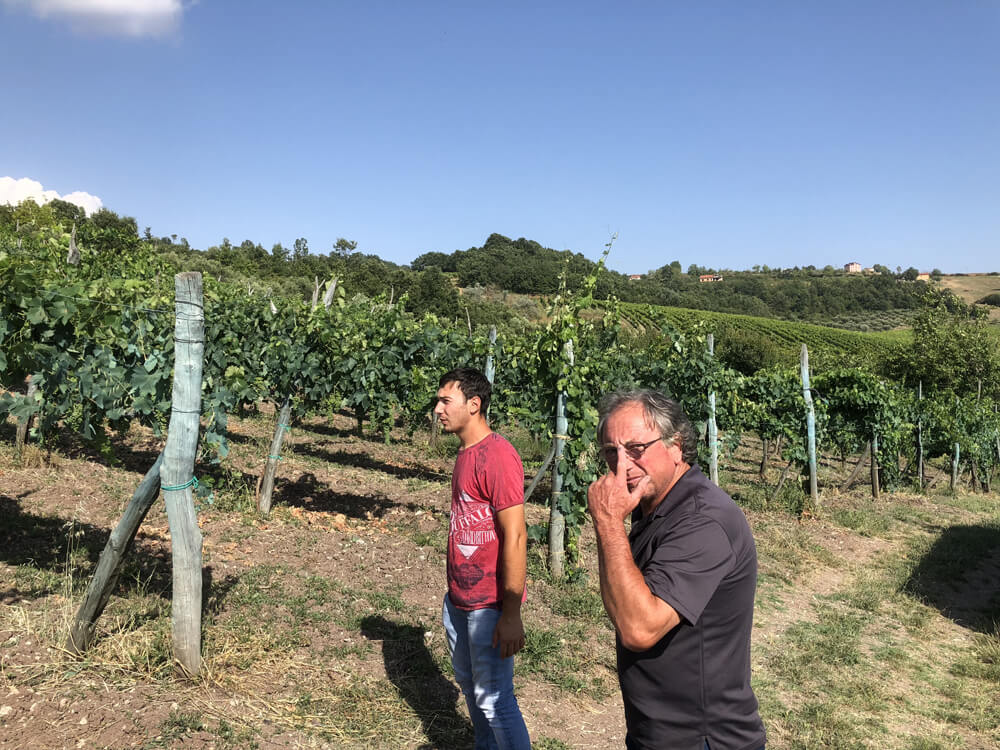 Wein-Italien-Kampanien-Taurasi-Winzer Michele Perillo im Weinberg 