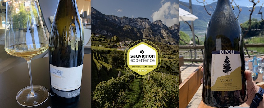 Sauvignon Experience: Wettbewerb in Kurtatsch für den besten Sauvignon Blanc. Im Bild Kofl von Kurtatsch und Voglar von Dipoli 2014