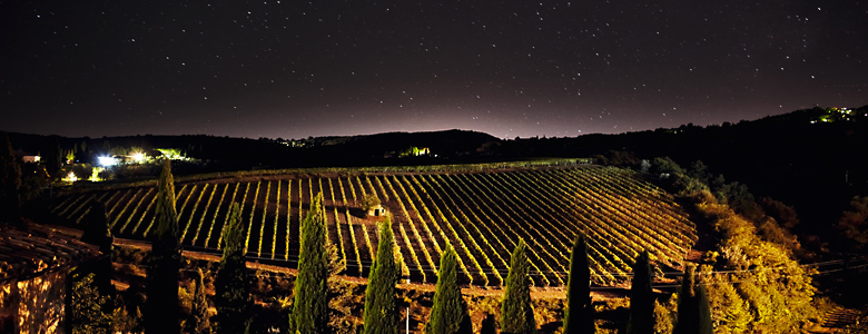 Italien, Brunello, Toskana, Landschaft mit Zypressen und Weinreben in der Nacht mit spektakulärem Sternenhimmel, Weingut Costanti, Montalcino