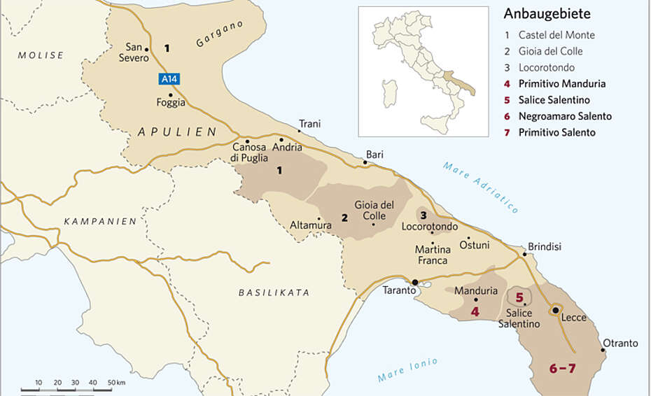 Apulien, Wein, Italien, Karte, Wein, Primitivo, Negroamaro, Salento, Manduria, Lecce, Bari, Adria, Taranto
